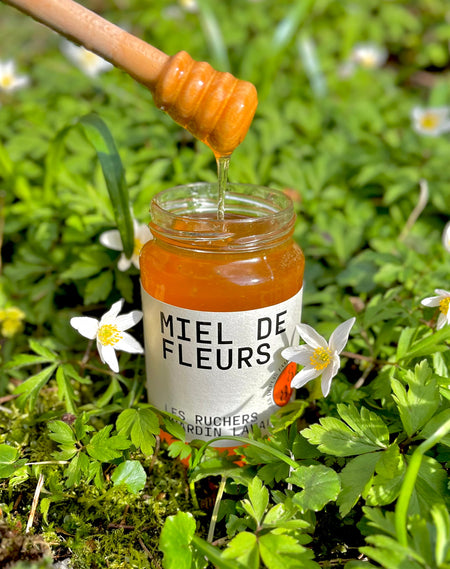 Miel artisanal des Vosges -  Miel de fleur local de qualité supérieure