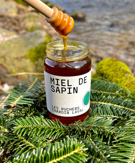 Miel artisanal des Vosges -  Miel de sapin local de qualité supérieure