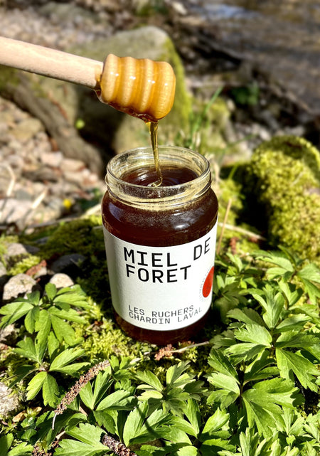 Miel artisanal des Vosges -  Miel de forêt local de qualité supérieure
